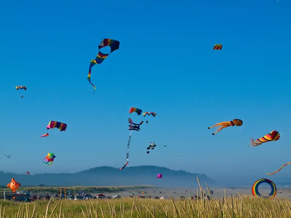 Vários papagaios coloridos voando em um céu azul brilhante — Fotografia de Stock