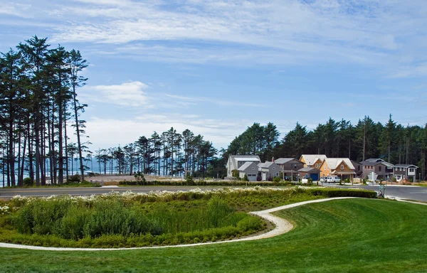 花式家园坐落在前面的海滩社区 — 图库照片