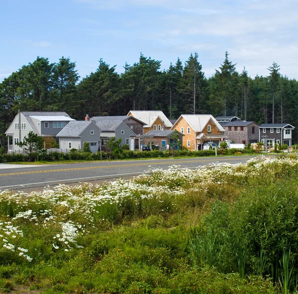 Fancy Homes Nestled in a Beach Front Community — Stock Photo, Image