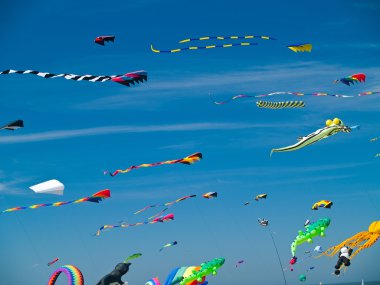 long Beach parlak mavi gökyüzü uçan çeşitli renkli uçurtma Uçurtma Festivali