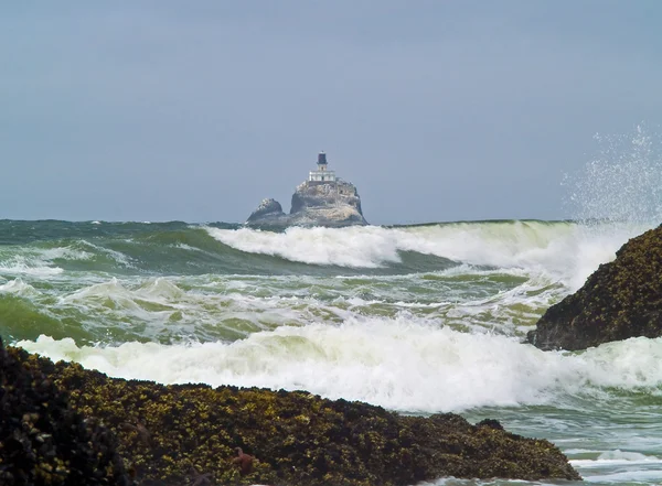 オレゴン州の海岸沖の灯台愛称"ひどいティリー" — ストック写真