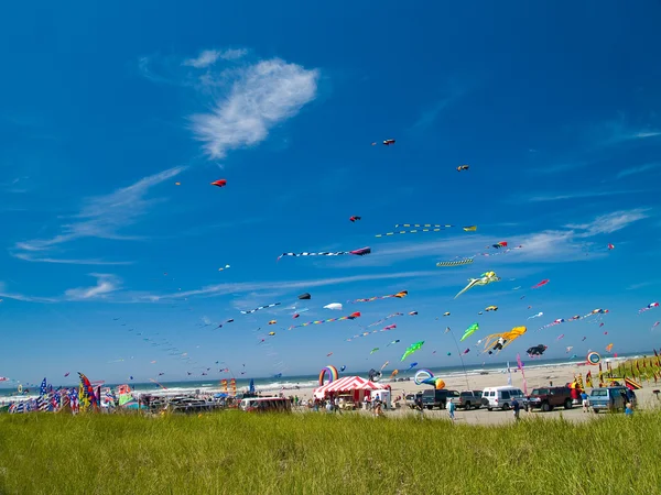 Vários papagaios coloridos voando em um céu azul brilhante no Long Beach Kite Festival — Fotografia de Stock