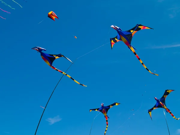 Vari aquiloni variopinti che volano in un cielo blu luminoso al festival dell'aquilone della spiaggia lunga — Foto Stock