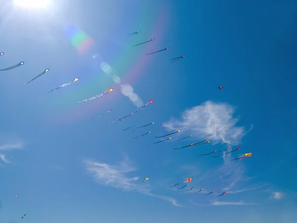 Různé barevné draky v jasně modré obloze v long beach kite festival — Stock fotografie