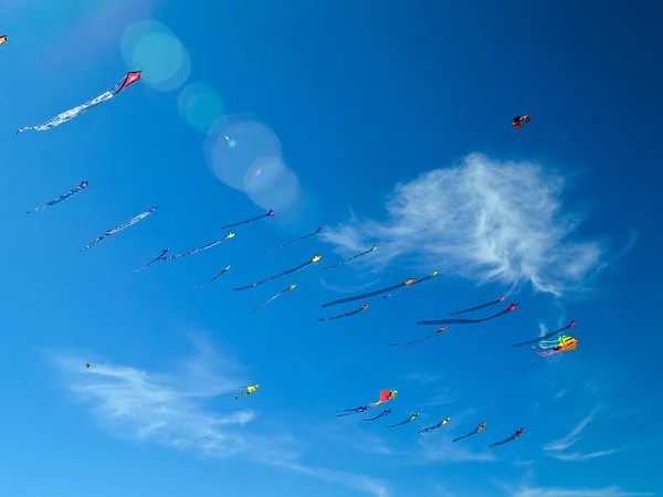 Vários papagaios coloridos voando em um céu azul brilhante no Long Beach Kite Festival — Fotografia de Stock