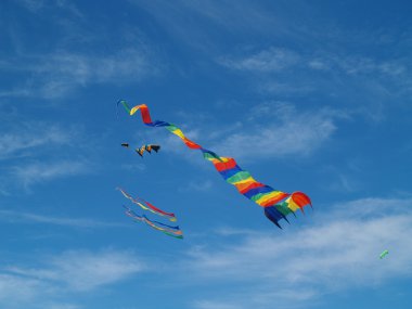 long Beach parlak mavi gökyüzü uçan çeşitli renkli uçurtma Uçurtma Festivali