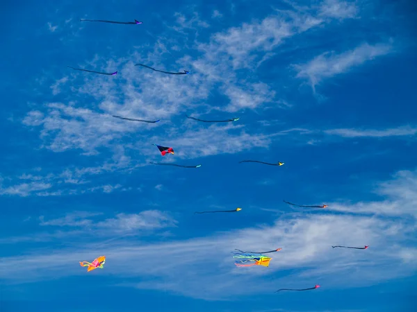 Various Colorful Kites Flying in a Bright Blue Sky at the Long Beach Kite Festival — Stock Photo, Image