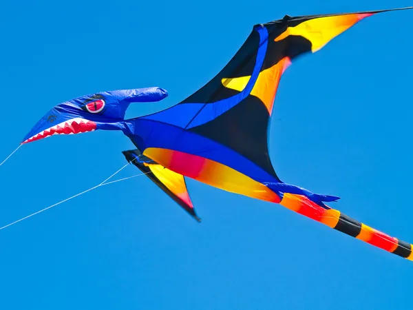 Colorido Pterodáctilo Kite Voando em um céu azul brilhante no Long Beach Kite Festival — Fotografia de Stock