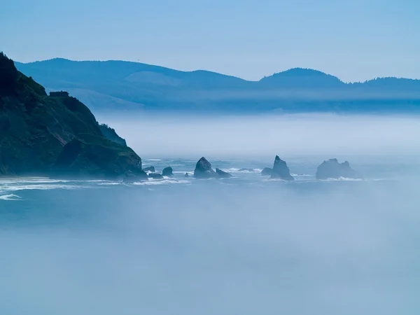 Zerklüftete Felsküste an der oregonischen Küste mit Blick vom Leuchtturm Kap Meares — Stockfoto