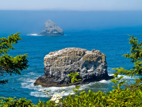 在俄勒冈州海岸海岸线坚固岩石忽视从海角米尔斯灯塔 — 图库照片