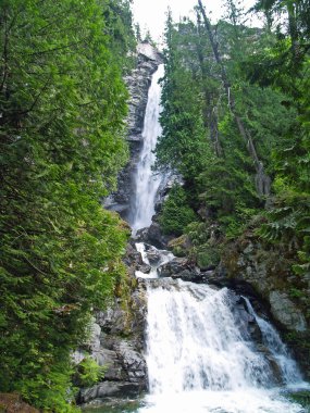ormanlık dağ şelale