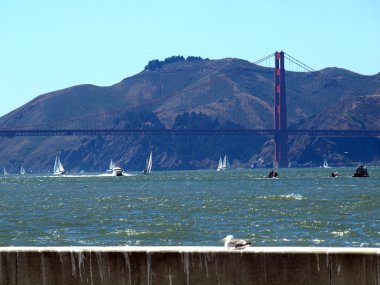Pier 39 görüldüğü gibi golden gate Köprüsü