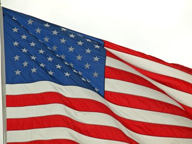 Amerikan bayrağını gururla uçan