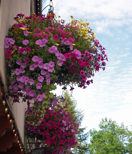 Flowers Adorning the Streets of Leavenworth WA USA — Stock Photo, Image