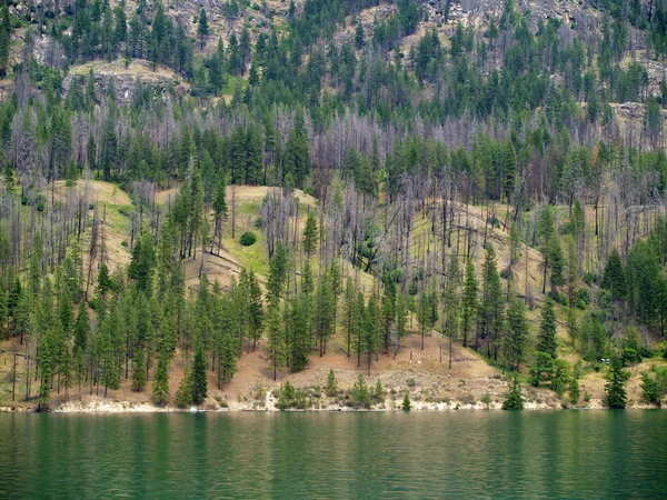 Hory s výhledem na jezero chelan ve Washingtonu státu usa — Stock fotografie