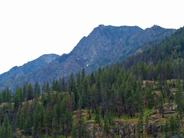 Montagnes surplombant le lac Chelan dans l'État de Washington États-Unis — Photo