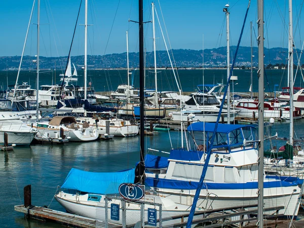 Boten in een dok geplaatst in san francisco marina — Stockfoto