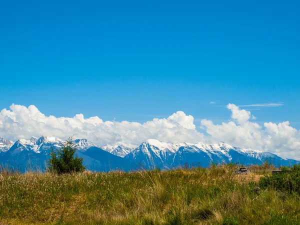 Vista de la montaña desde la Cordillera Nacional Bison Fotos de stock