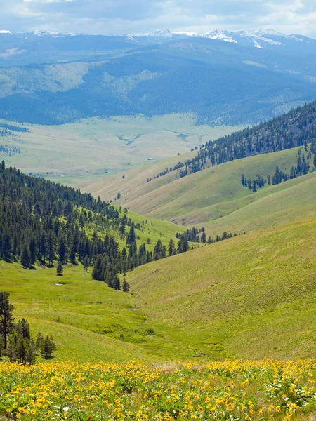 Paesaggio montano e vallone — Foto Stock