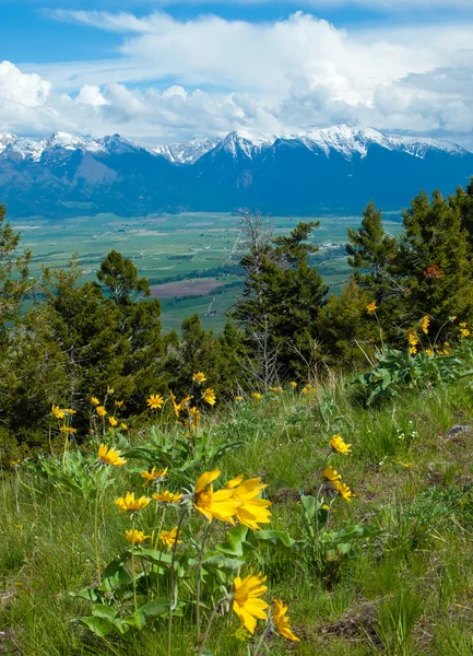 Paesaggio montano e vallone — Foto Stock