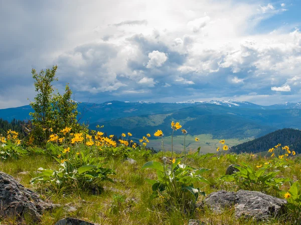 Dağ ve vadi peyzaj — Stok fotoğraf