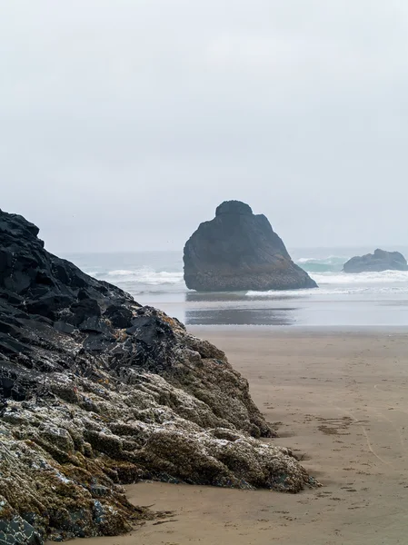 Olas estrellándose en una playa rocosa —  Fotos de Stock