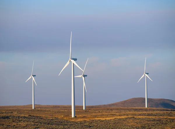 Windmolen boerderij — Stockfoto