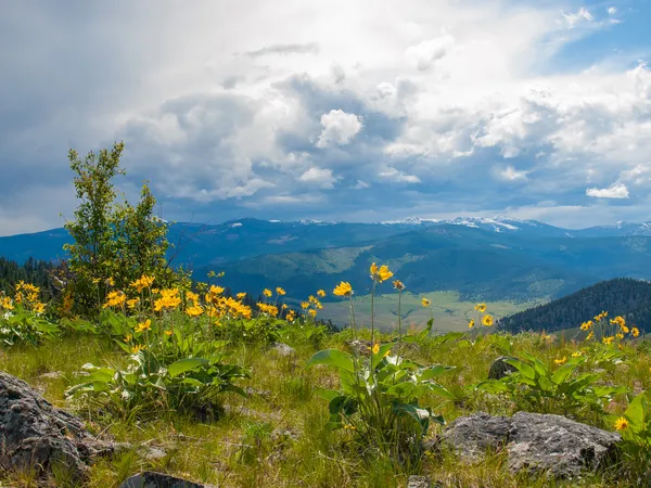 Paisagem de montanha e vale Fotos De Bancos De Imagens