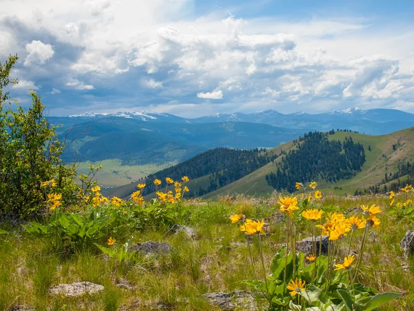 Paisagem de montanha e vale Fotos De Bancos De Imagens