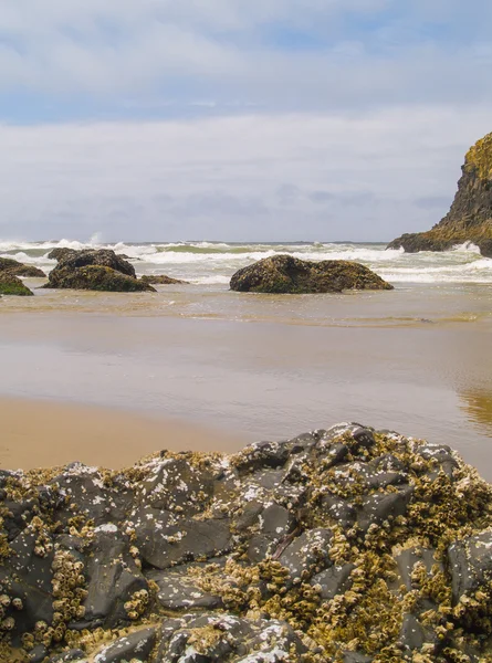Хвилі розбиваються на скелястому березі — стокове фото