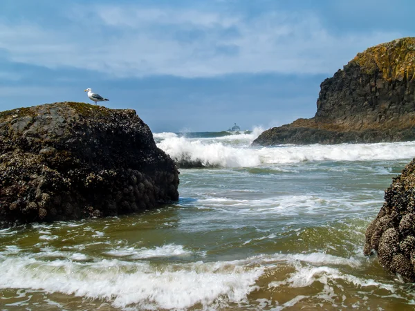 Faro Marino — Foto de Stock