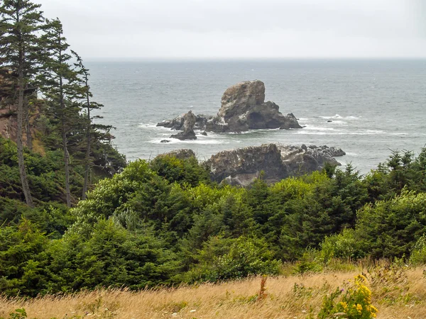 La costa de Oregon — Foto de Stock