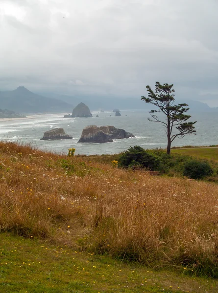 The Oregon Coast — Stock Photo, Image