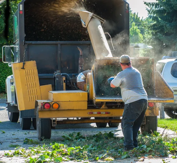 Wood Chiiper — Stock Photo, Image