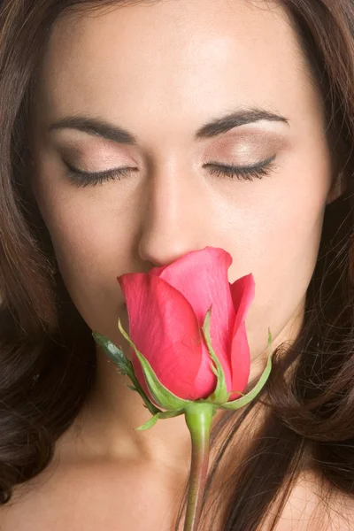 Tender woman smelling rose Stock Image