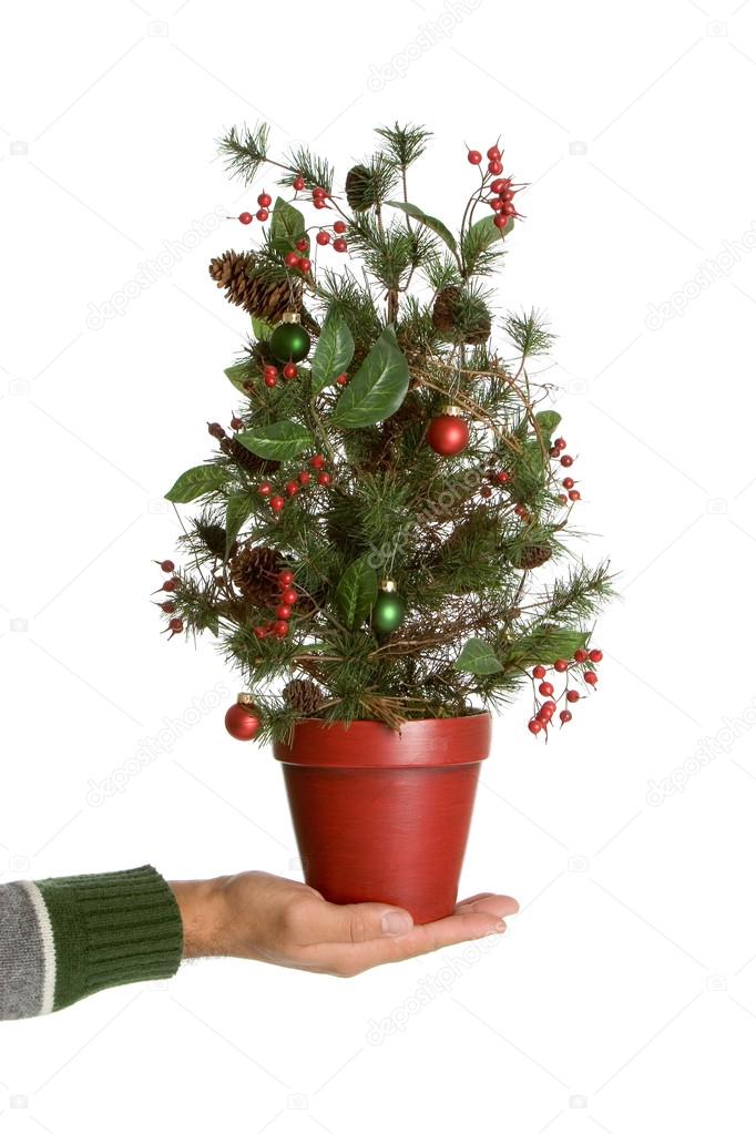Small christmas tree in decorative