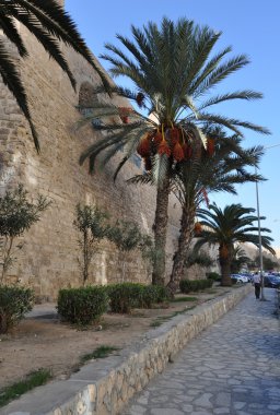 motorickshawhammamet Beach'te. Tunus.