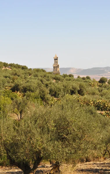 Dougga — Stock Photo, Image