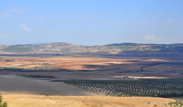 Dougga — Zdjęcie stockowe