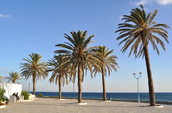 Praia em Hammamet. Tunis. . — Fotografia de Stock