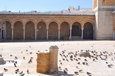 Cami zitouna.tunis.