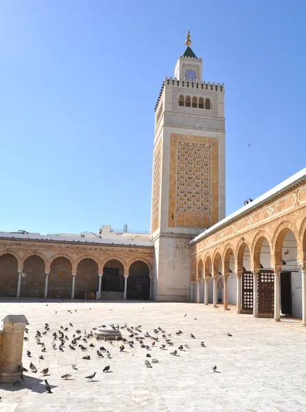 Moskén zitouna.tunis — Stockfoto