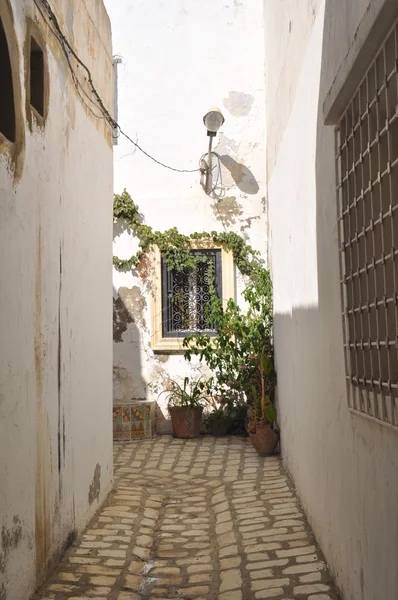 Tunis. Kairuán. Medina. — Fotografia de Stock