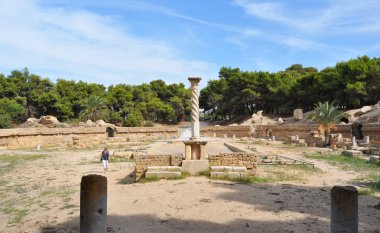 Atlı araçlar. Tunus.