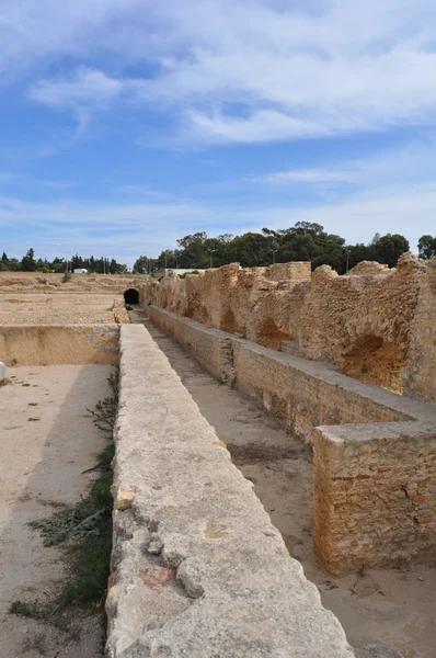 Aquaduct. cartage. Tunis. — Stockfoto