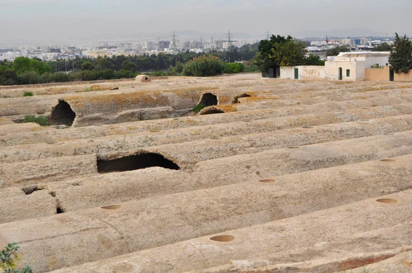 Aquaduct. cartage. Tunis. — Stockfoto