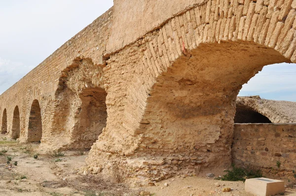 Aqueduct. Cartage. Tunis. — Stock Photo, Image