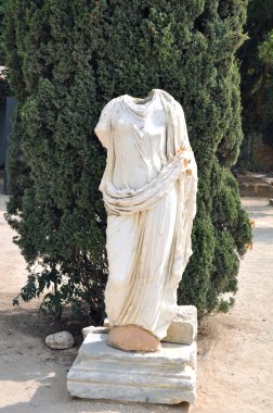 Atlı araçlar. Tunus.