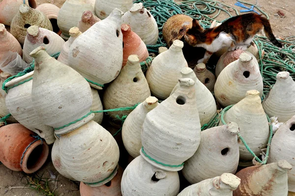 Контейнер для ловли осьминога. Тунис . — стоковое фото