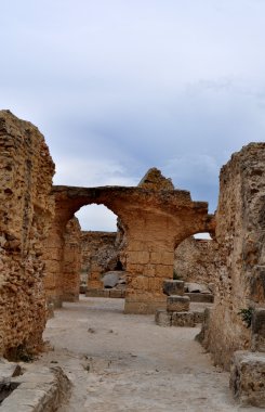 Atlı araçlar. Tunus.